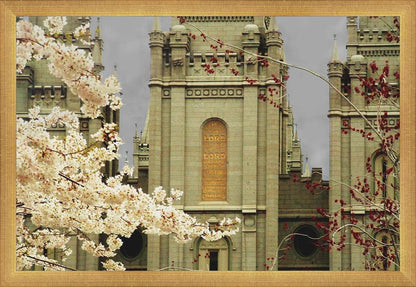 Salt Lake City Temple The Promise