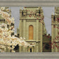 Salt Lake City Temple The Promise