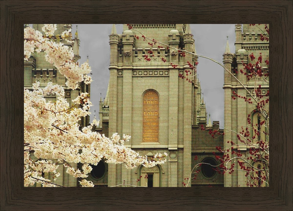 Salt Lake City Temple The Promise