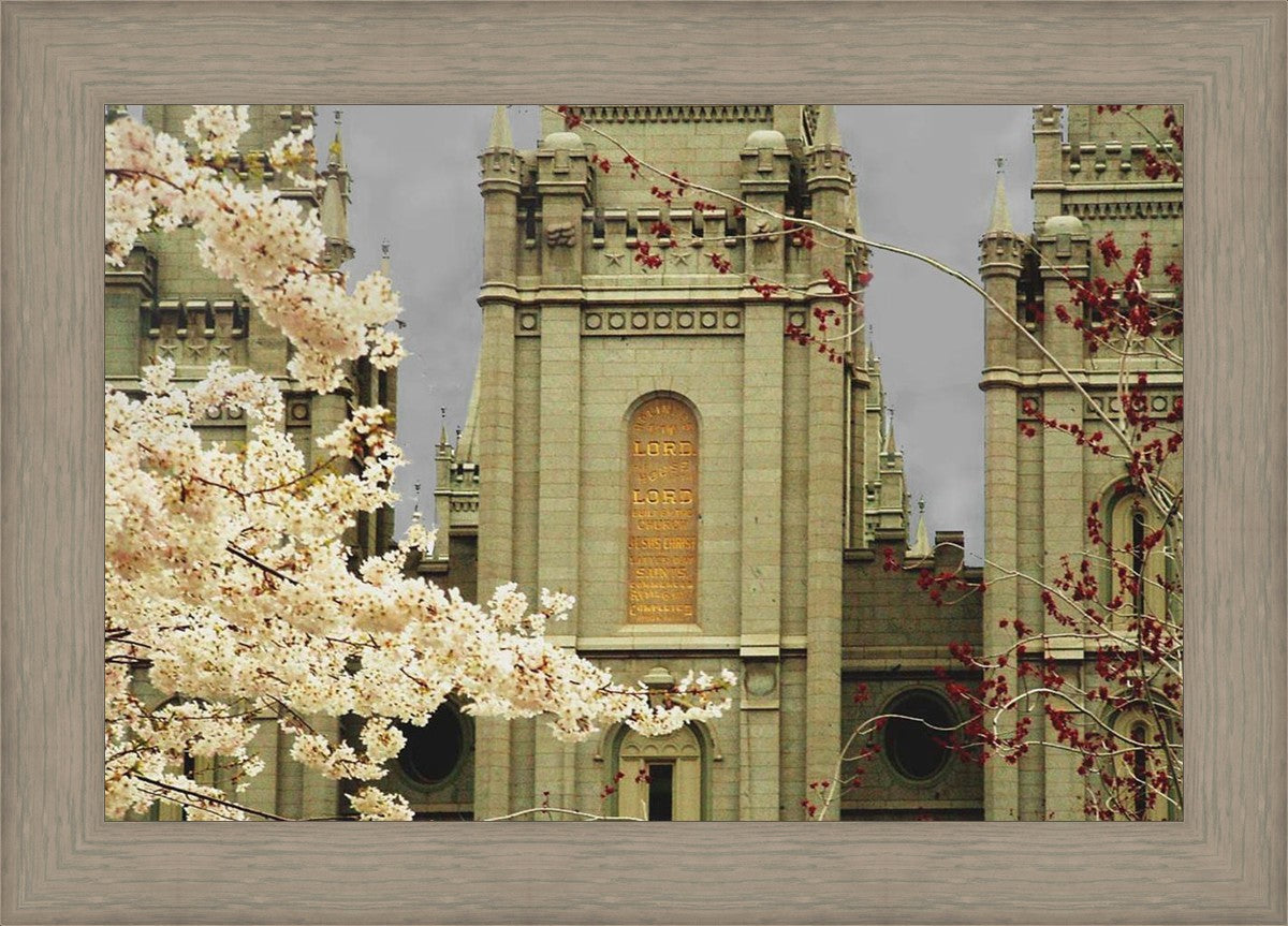 Salt Lake City Temple The Promise