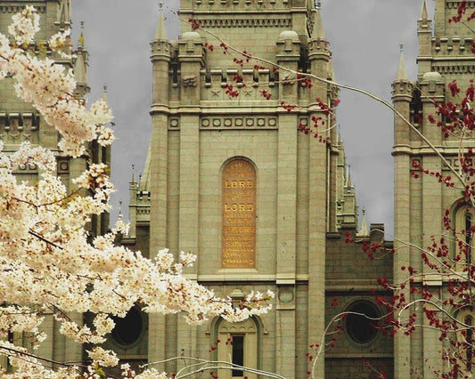 Salt Lake City Temple The Promise Sepia Gallery Wrap