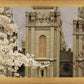Salt Lake City Temple The Promise Sepia
