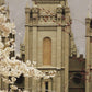 Salt Lake City Temple The Promise Sepia