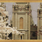 Salt Lake City Temple The Promise Sepia