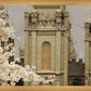Salt Lake City Temple The Promise Sepia