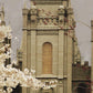 Salt Lake City Temple The Promise Sepia