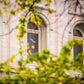 Salt Lake City Temple Windows Of Eternity