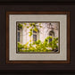 Salt Lake City Temple Windows Of Eternity