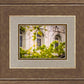 Salt Lake City Temple Windows Of Eternity