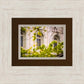 Salt Lake City Temple Windows Of Eternity