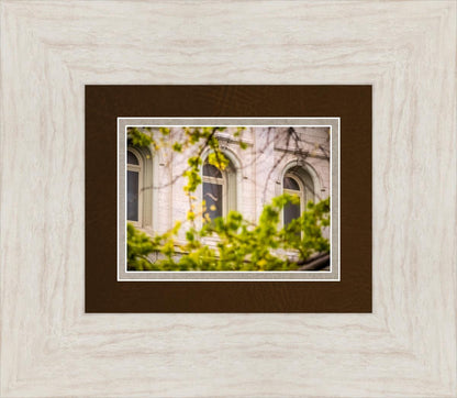 Salt Lake City Temple Windows Of Eternity