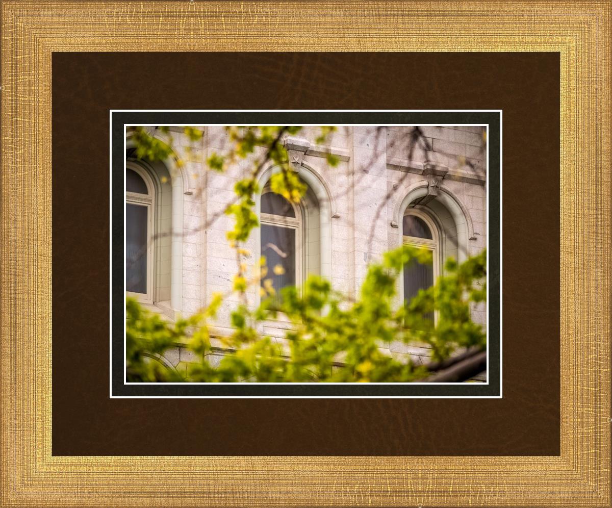 Salt Lake City Temple Windows Of Eternity