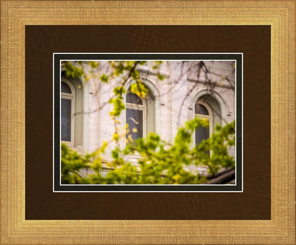 Salt Lake City Temple Windows Of Eternity