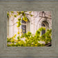 Salt Lake City Temple Windows Of Eternity
