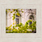 Salt Lake City Temple Windows Of Eternity