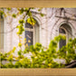 Salt Lake City Temple Windows Of Eternity
