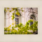 Salt Lake City Temple Windows Of Eternity