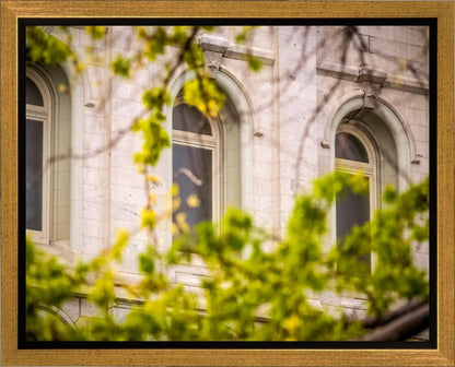 Salt Lake City Temple Windows Of Eternity Gallery Wrap