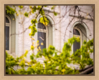 Salt Lake City Temple Windows Of Eternity Gallery Wrap