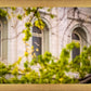 Salt Lake City Temple Windows Of Eternity