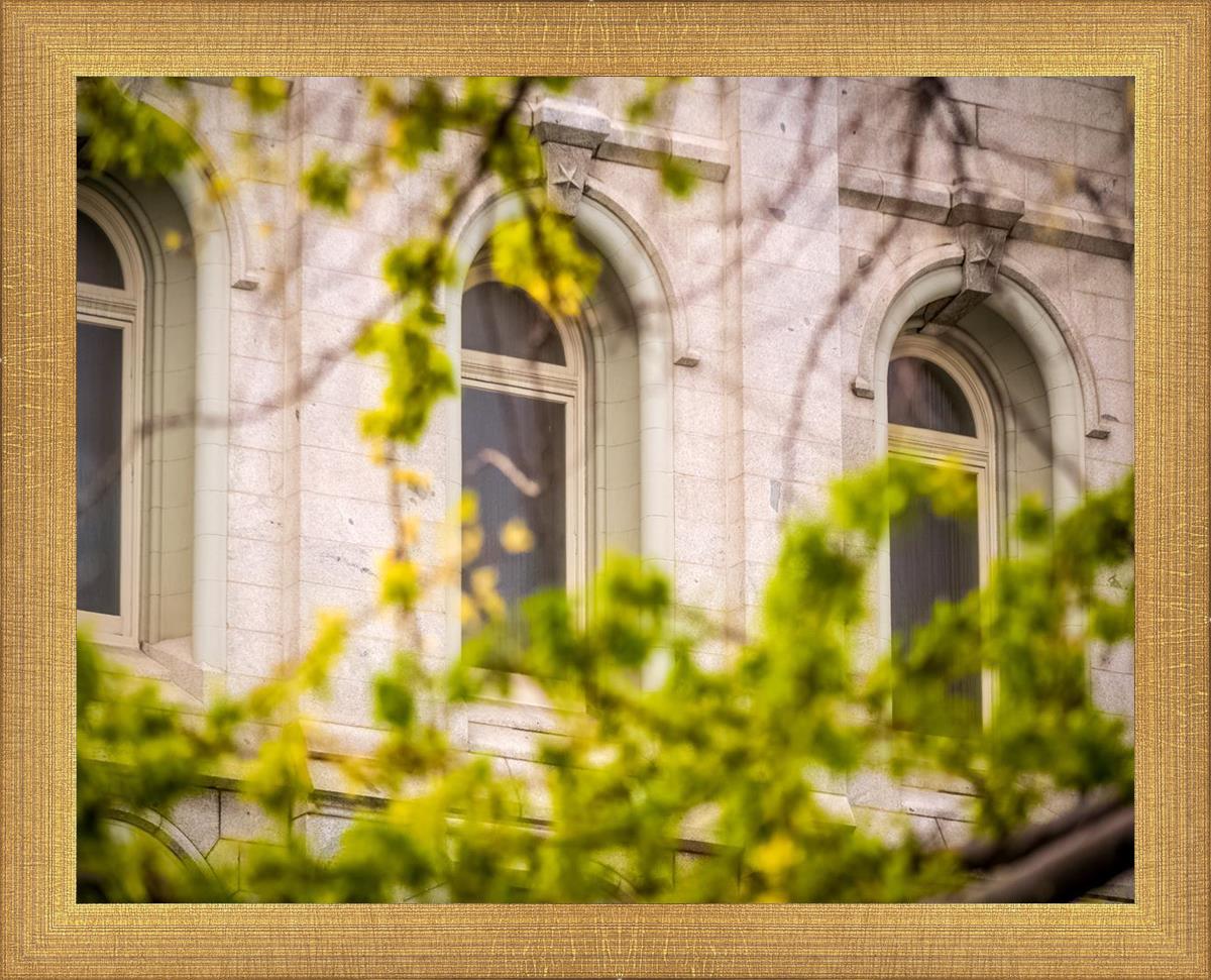 Salt Lake City Temple Windows Of Eternity