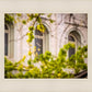 Salt Lake City Temple Windows Of Eternity
