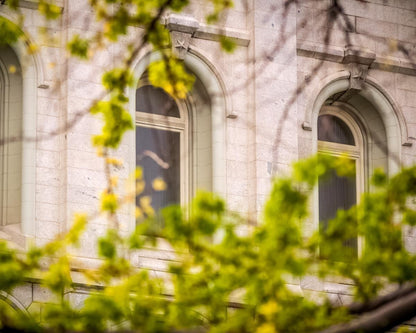 Salt Lake City Temple Windows Of Eternity Gallery Wrap