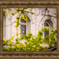 Salt Lake City Temple Windows Of Eternity
