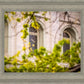 Salt Lake City Temple Windows Of Eternity