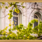Salt Lake City Temple Windows Of Eternity