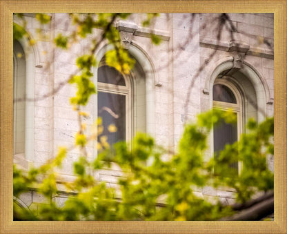 Salt Lake City Temple Windows Of Eternity