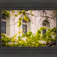 Salt Lake City Temple Windows Of Eternity