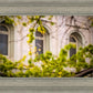Salt Lake City Temple Windows Of Eternity