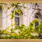Salt Lake City Temple Windows Of Eternity