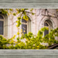 Salt Lake City Temple Windows Of Eternity