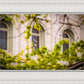Salt Lake City Temple Windows Of Eternity