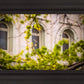 Salt Lake City Temple Windows Of Eternity