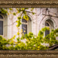 Salt Lake City Temple Windows Of Eternity