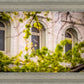 Salt Lake City Temple Windows Of Eternity