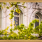 Salt Lake City Temple Windows Of Eternity