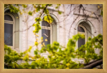 Salt Lake City Temple Windows Of Eternity