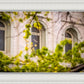 Salt Lake City Temple Windows Of Eternity