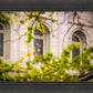Salt Lake City Temple Windows Of Eternity