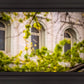 Salt Lake City Temple Windows Of Eternity
