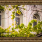 Salt Lake City Temple Windows Of Eternity