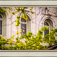 Salt Lake City Temple Windows Of Eternity