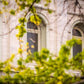 Salt Lake City Temple Windows Of Eternity
