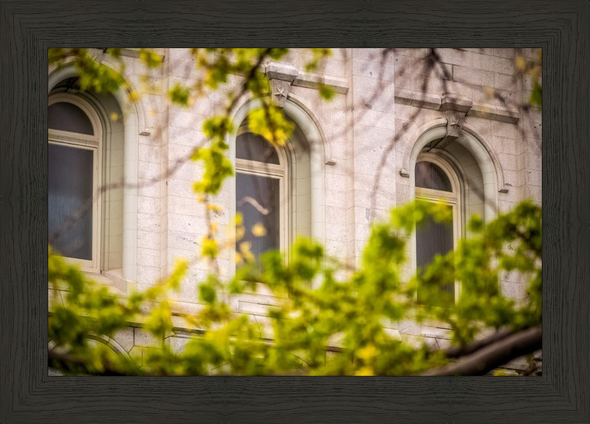 Salt Lake City Temple Windows Of Eternity