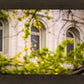 Salt Lake City Temple Windows Of Eternity