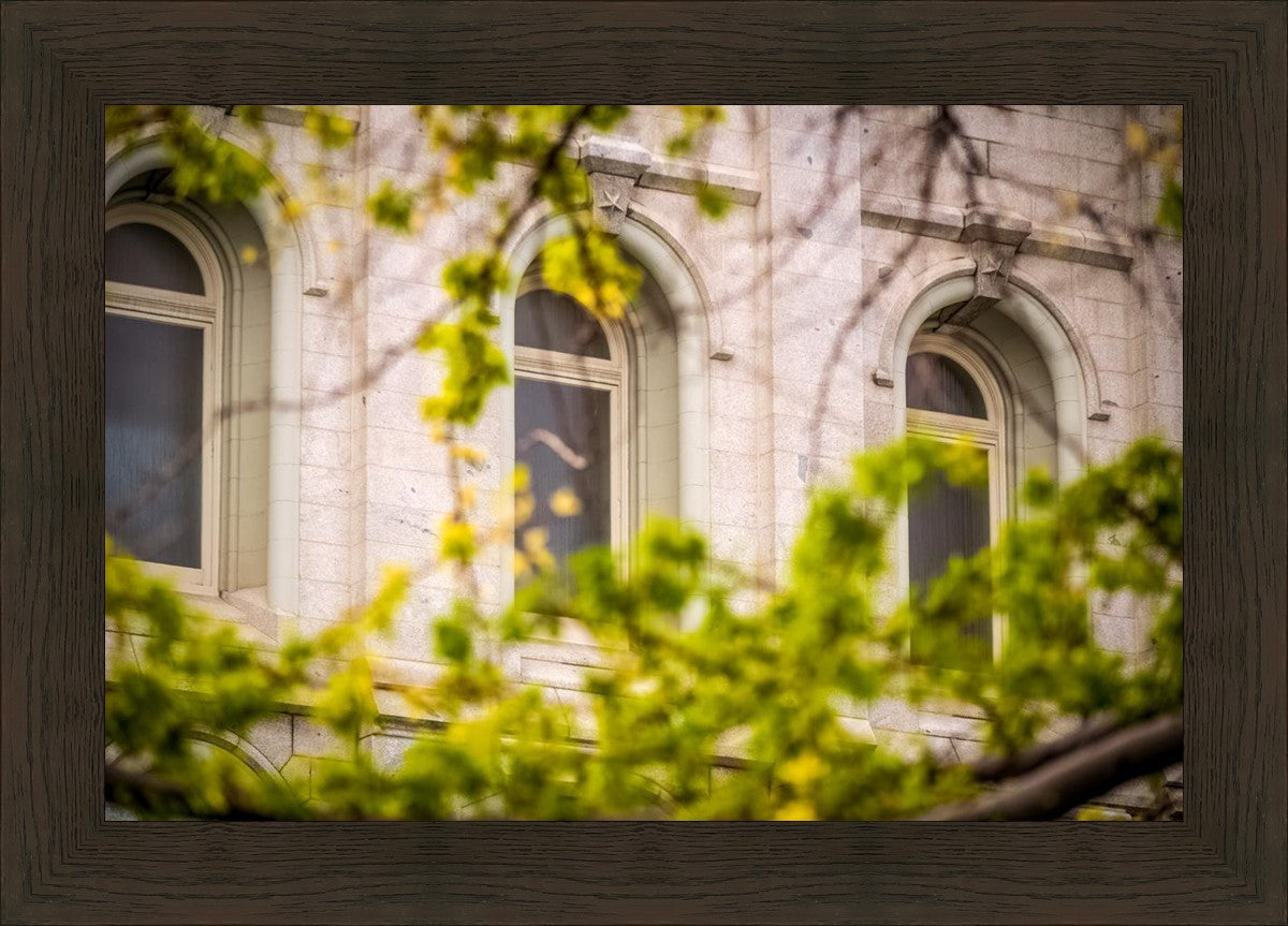Salt Lake City Temple Windows Of Eternity